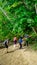 Hikers And Their Dogs Hiking The Trail At Tolmie State Park On A Very Nice Pacific Northwest Puget Sound Late Spring Afternoon