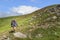 hikers on the trail in the Islandic mountains. Trek in National Park Landmannalaugar, Iceland. valley is covered with bright green