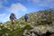 hikers on the trail in the Islandic mountains. Trek in National Park Landmannalaugar, Iceland. valley is covered with bright green