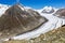 Hikers viewing the Great Aletsch Glacier