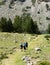 Hikers Walk Along Path in the Forest