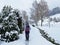 Hikers and walkers on the beautiful idyllic fresh snow of the mountain Rigi