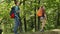 Hikers walking on forest edge - teenagers and woman backpackers