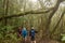 Hikers walking in national park of Garajonay