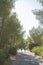 Hikers are walking on the pathway to the national park of the calanques of Marseille, Provence region. There are very beaut