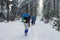 Hikers in the winter forest.