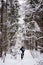 Hikers - Winter Wonderland - Buzzardroost Rock - Edge of Appalachia - Ohio