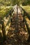 Hikerâ€™s Footbridge over a Mountain Stream