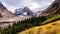 Hiking above the tree line to the Plain of Six Glaciers at Lake Louise