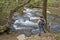 Hiking Along Abrams Creek In Cades Cove