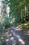 Hiking along the canyon Gorges Mysterieuses de Tete Noire in Trient, region of Martigny in Valais, Swiss Alps, Switzerland