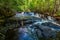 Hiking along a stream at Sleeping Giant Provincial Park Ontario Canada