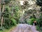 Hiking along the train tracks of Peru Rail on the road to Aguas