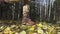 Hiking in autumn forest. Close up low angle ground level view of trekking shoes stepping on yellow fall leaves