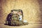 Hiking backpack camping equipment outdoor on grunge wall