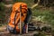 hiking backpack with trekking poles and other essential hiking gear