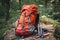 hiking backpack with trekking poles and other essential hiking gear