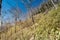 Hiking in the beautiful Mount Nantai and Lake Chuzenji in autumn season, Nikko, Japan