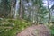 Hiking in the beautiful trail of Gorges Du Dailley in the Valais, Switzerland in summer 2023