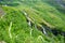 Hiking and bicycle route along Flam Line in Norway