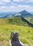 Hiking boots on the legs of the resting tourist with the characteristic peak of Mala Fatra - Velky Rozsutec