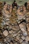 Hiking Boots on Rocky Trail, Overhead Angle, Close Up