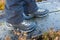 Hiking boots on studded wooden footbridge