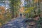 Hiking in brilliant fall foliage in the Catskill Mountain Foothills on a brilliant fall day