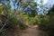 Hiking in the bush, Queensland, Australia