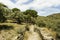 Hiking on CamÃ­ de Ronda trail, Cap de Creus