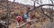 Hiking Couple Hiking Through Bare Trees to Shipwreck Beach Lanai Hawaii