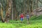 Hiking couple tourists walking together in forest trail path in summer travel vacation destination in Hawaii. Nature rainforest