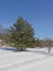 Hiking and cross country skiing trail in Mont Saint Bruno national park, Quebec