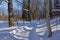 Hiking and cross country skiing trail in Mont Saint Bruno national park, Quebec