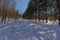 Hiking and cross country skiing trails in Mont Saint Bruno national park, Quebec