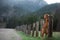 hiking with a dog. Nova Scotia Duck Tolling Retriever in the mountains, in the valley