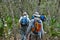 Hiking in the Everglades