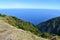 Hiking at the Fairy forest in Fanal with ancient laurel trees and the ocean in background in Madeira, Portugal