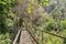 Hiking in Fish Canyon Falls Trail