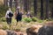 Hiking, fitness and people walking in forest for adventure, freedom and wellness in woods. Travel, outdoors and group of