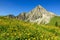 Hiking on flower meadow and steep mountain in spring