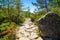 Hiking footpath to the Preikestolen and Lysefjord area, Norway