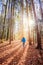 Hiking in the forest, autumn time. Girl is walking in autumnal forest, colorful leaves and sunbeam