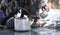 Hiking: Girl recruit water in a kettle from an ice hole near a stream in the winter forest.