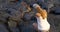 Hiking Girl taking picture with flowing lava in Kilauea volcano Hawaii