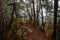 Hiking Golden Trail of Bohemian Paradise near Vranov castle and Pantheon, sandstone landscape autumn day, Iron green ladder to the