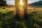 Hiking in the grassland, close up of male feet in leather boots walking through grassy landscape