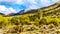 Hiking on the hiking trails surrounded by Saguaro, Cholla and other Cacti in the semi desert landscape of the McDowell Mountains