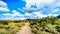 Hiking on the hiking trails surrounded by Saguaro, Cholla and other Cacti in the semi desert landscape of the McDowell Mountains