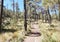 Hiking La Malinche Volcano in Tlaxcala, Mexico, the country's sixth-highest peak